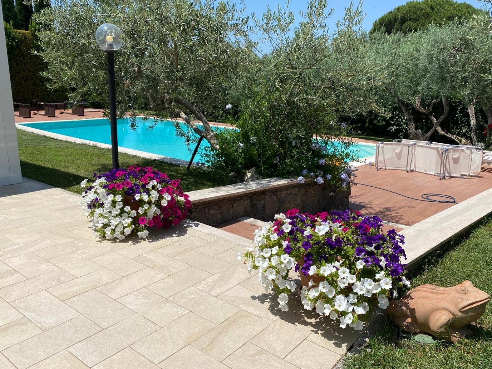 Visit Rome From A Quiet Place Frascati Exterior photo